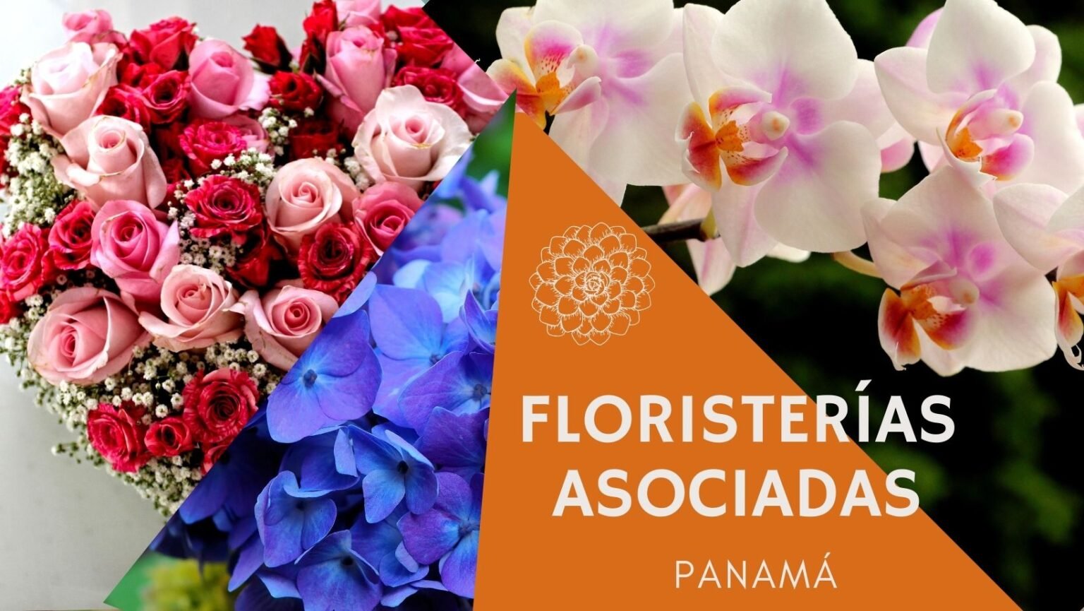 FLORISTERIAS